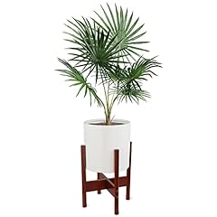 Creekview home emporium for sale  Delivered anywhere in USA 