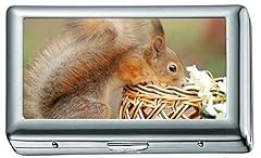 Cigarette box squirrel for sale  Delivered anywhere in UK