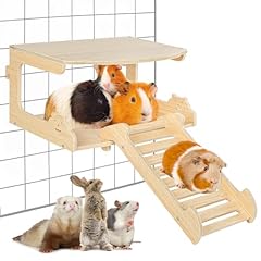 Oiibo guinea pig for sale  Delivered anywhere in USA 