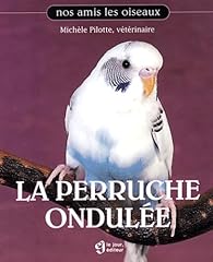 Perruche ondulée d'occasion  Livré partout en Belgiqu
