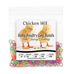 Chicken hill baby for sale  Delivered anywhere in USA 