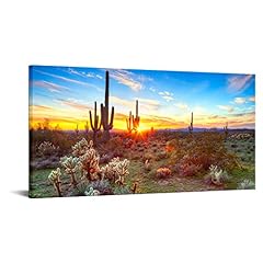 Sechars arizona sonoran for sale  Delivered anywhere in USA 