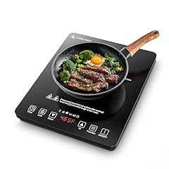 Amzchef portable induction for sale  Delivered anywhere in USA 