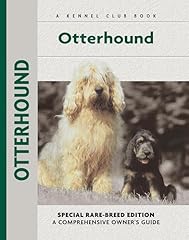 Otter hound for sale  Delivered anywhere in UK