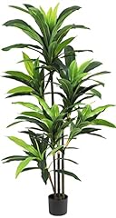 Viagdo dracaena silk for sale  Delivered anywhere in USA 