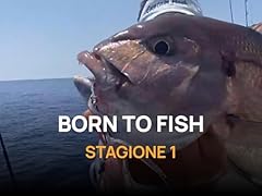 Born fish usato  Spedito ovunque in Italia 