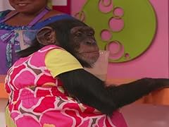 Chimps charge for sale  Delivered anywhere in USA 