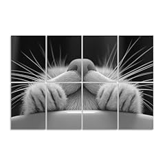 Pack art acoustic for sale  Delivered anywhere in USA 