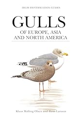 Gulls asia north for sale  Delivered anywhere in UK