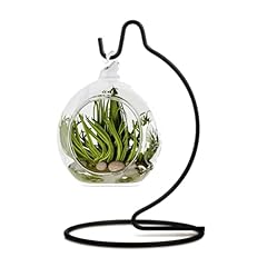 Cxle ornament display for sale  Delivered anywhere in USA 