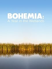 Bohemia year wetlands for sale  Delivered anywhere in UK