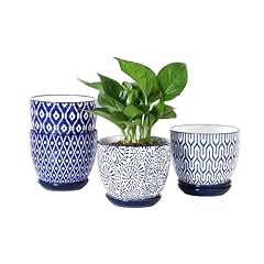 Selamica ceramic plant for sale  Delivered anywhere in USA 