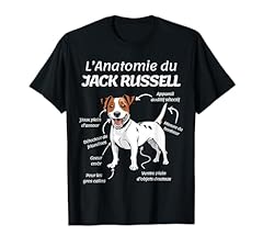 Jack russell cadeau d'occasion  Livré partout en France