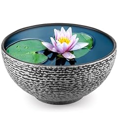 Rimcereal water lily for sale  Delivered anywhere in USA 