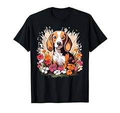 Cute beagle spring for sale  Delivered anywhere in USA 