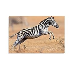 Animal poster zebra for sale  Delivered anywhere in UK