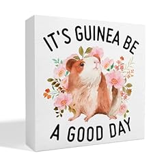 Guinea pigs decor for sale  Delivered anywhere in USA 