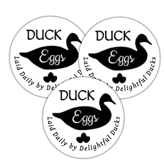 Duck egg carton for sale  Delivered anywhere in USA 