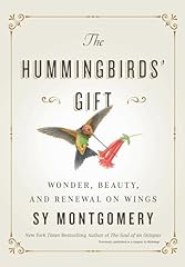 Hummingbirds gift wonder for sale  Delivered anywhere in USA 