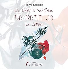 Grand voyage petit d'occasion  Livré partout en France