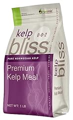 Kelp bliss pure for sale  Delivered anywhere in USA 