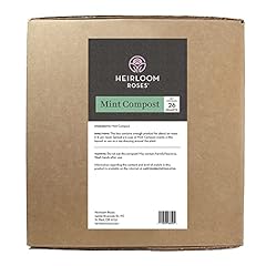 Heirloom roses mint for sale  Delivered anywhere in USA 