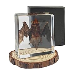 Artojoy taxidermy bat for sale  Delivered anywhere in USA 