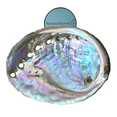 Nessastores lot coquilles d'occasion  Livré partout en France
