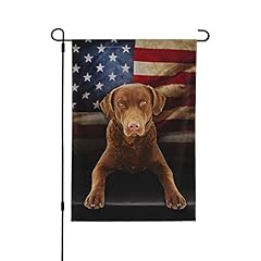 Chesapeake bay retriever for sale  Delivered anywhere in USA 