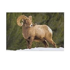 Bighorn sheep big for sale  Delivered anywhere in USA 