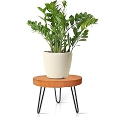 Obtain plant stand for sale  Delivered anywhere in USA 