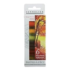 Sennelier set stick usato  Spedito ovunque in Italia 