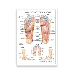 Kubapig foot reflexology for sale  Delivered anywhere in UK