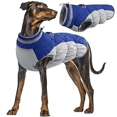 Cappotto invernale cani usato  Spedito ovunque in Italia 