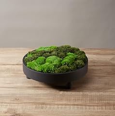 Prefleur color mix for sale  Delivered anywhere in USA 