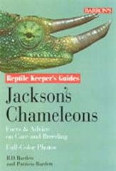 Jackson veiled chameleons for sale  Delivered anywhere in USA 