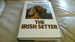 Irish setter for sale  Delivered anywhere in UK