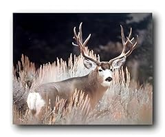 Big antler rack for sale  Delivered anywhere in USA 