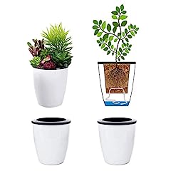3.5 self watering for sale  Delivered anywhere in USA 