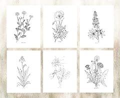 Modern botanical prints for sale  Delivered anywhere in USA 