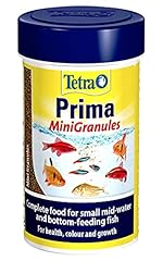 Tetra prima fish for sale  Delivered anywhere in Ireland