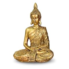 Zen light sb6 usato  Spedito ovunque in Italia 