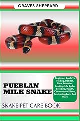Pueblan milk snake for sale  Delivered anywhere in USA 