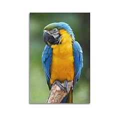 Binkaiyi poster decorativo usato  Spedito ovunque in Italia 