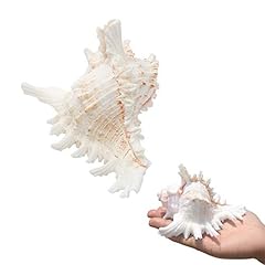 Sinkoo 2pcs conch for sale  Delivered anywhere in USA 