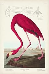 Art.com wall art for sale  Delivered anywhere in USA 