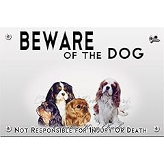 Metal plate beware for sale  Delivered anywhere in UK
