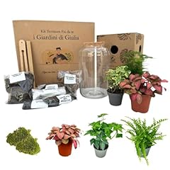 Giardini giulia kit usato  Spedito ovunque in Italia 
