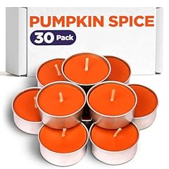Pumpkin spice scented for sale  Delivered anywhere in USA 