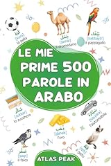 Mie prime 500 usato  Spedito ovunque in Italia 
